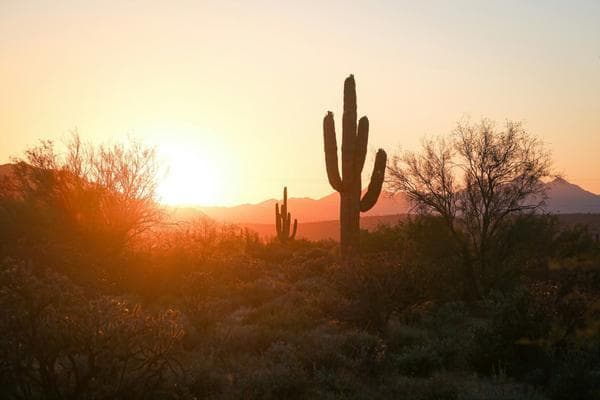 Pickleball and padel courts in Phoenix, Arizona