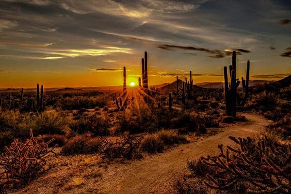 Pickleball and padel courts in Scottsdale, Arizona