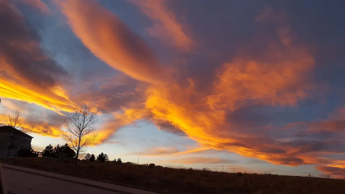 Coyote Ridge Park