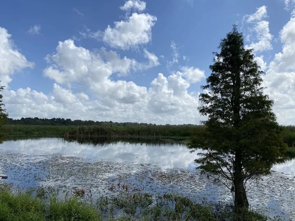 Lake Parker Park