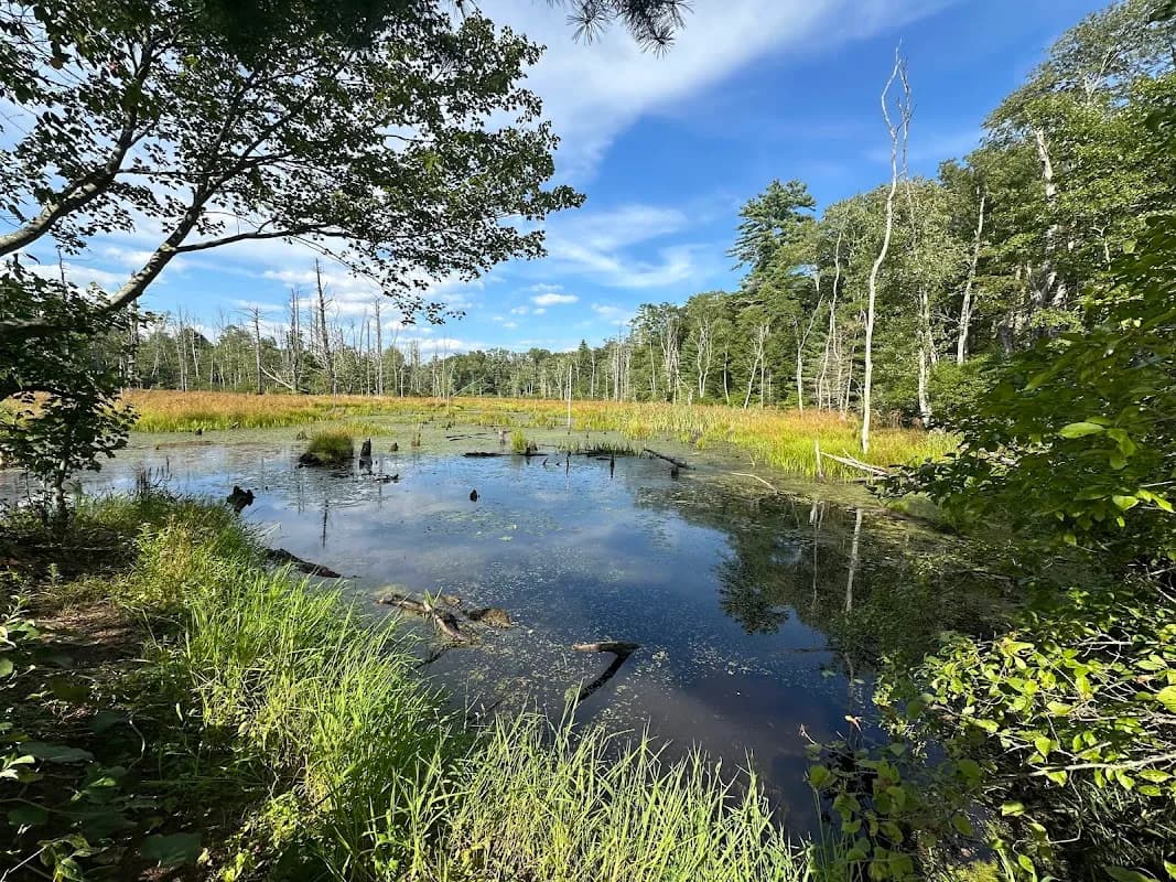 cedar lake recreation