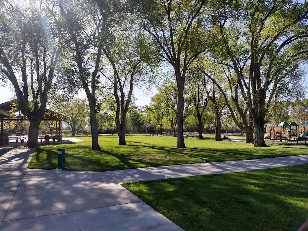 The Hive at Lazy 5 Park