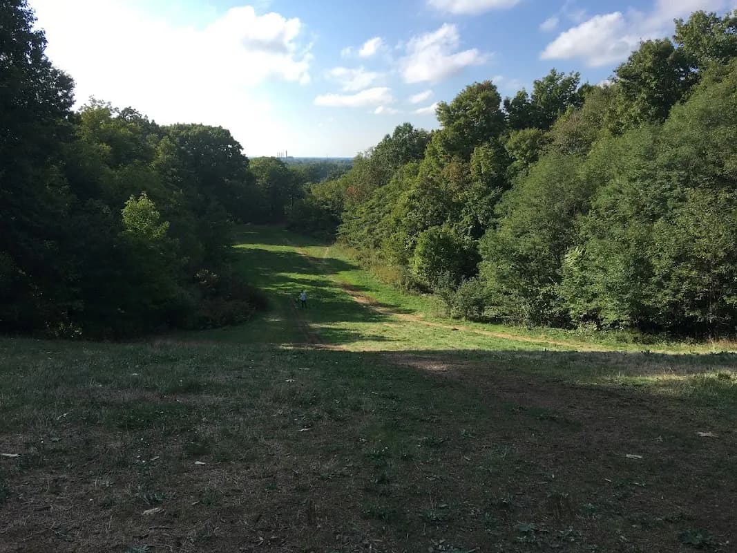 Forest Hills Park