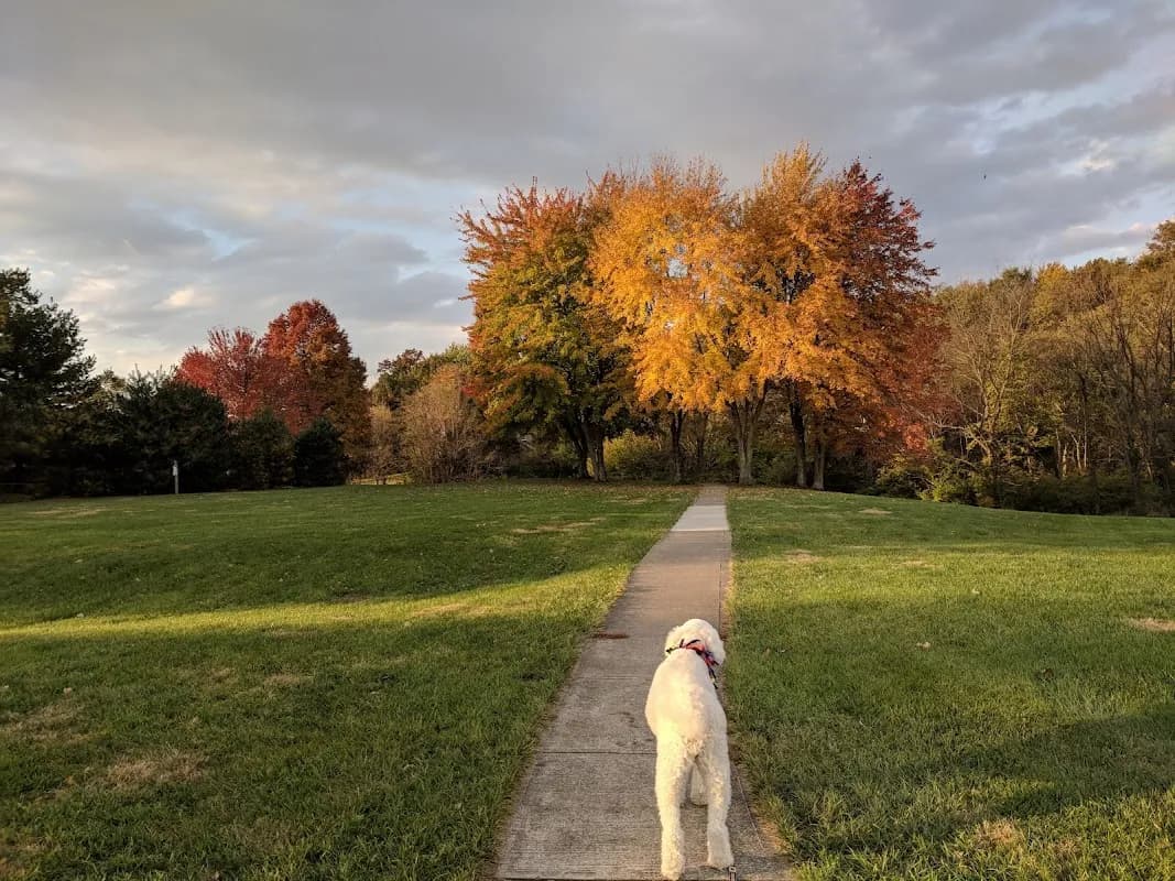 Community Park