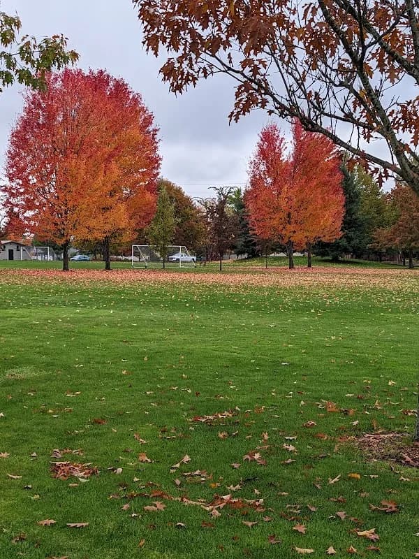 Redwood Park