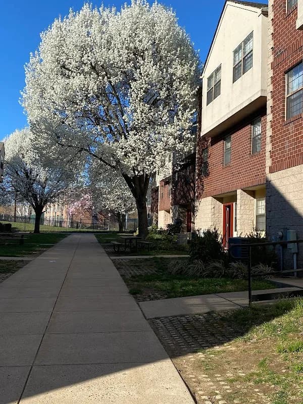 LaSalle University