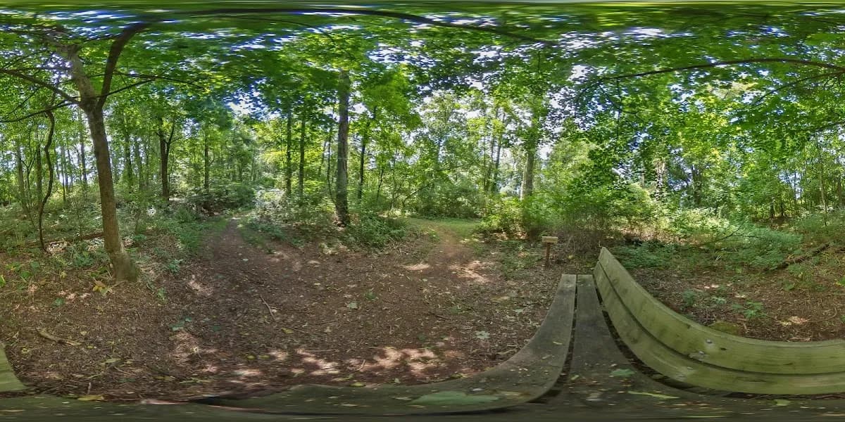 Ellis Woods Park