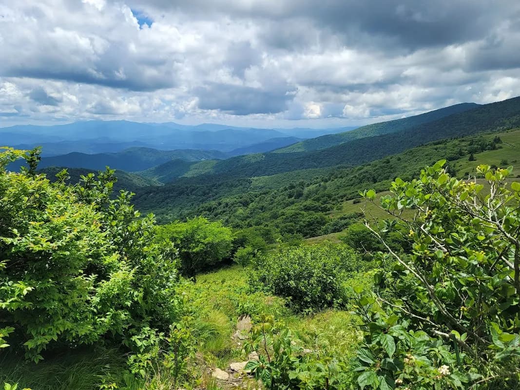 Roan Mountian