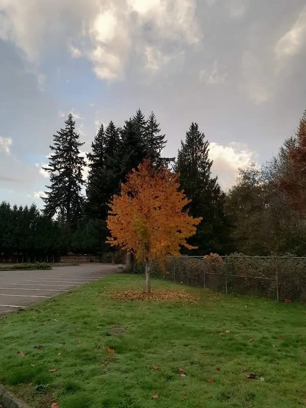 Cedarcrest Middle School