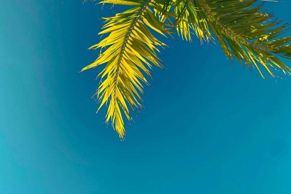 Pickleball courts in Naples, FL