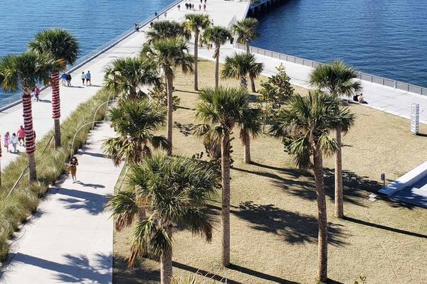 Pickleball courts in St. Petersburg, FL